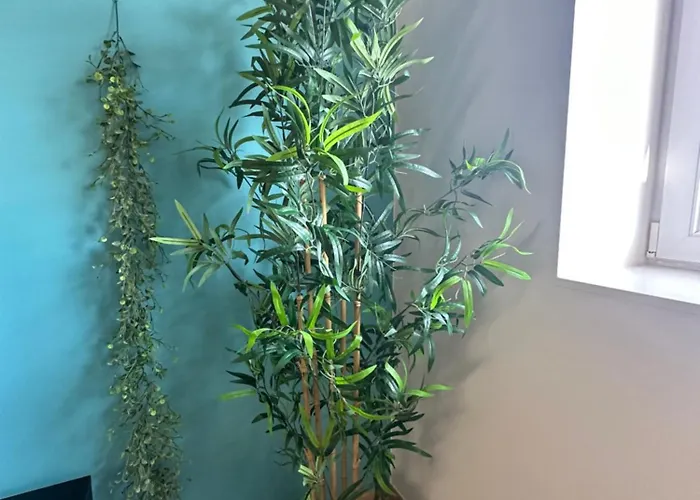 Appartement The 40 Work Or New Appt *